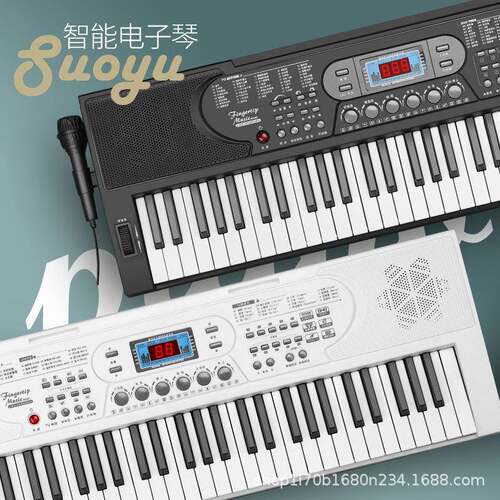 源头厂键家电BD669子琴61多功能钢琴成学人儿童师玩具初者音幼乐