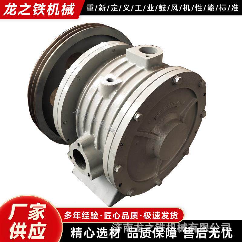 回转鼓风OLO机维修替换机头H式25S用百事德泵头章丘通鼓风C机配件