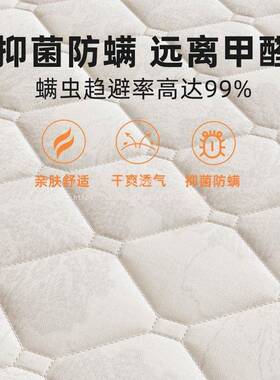 原巷卧木室10租房垫子可天折叠VMJ厚棕榈床垫cm硬家用单人用床垫