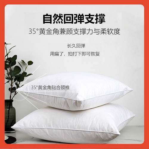 ?鹅毛羽绒抱枕芯内胆45x4550方酒形Fh(h(&aq羽芯毛靠枕店沙发腰靠