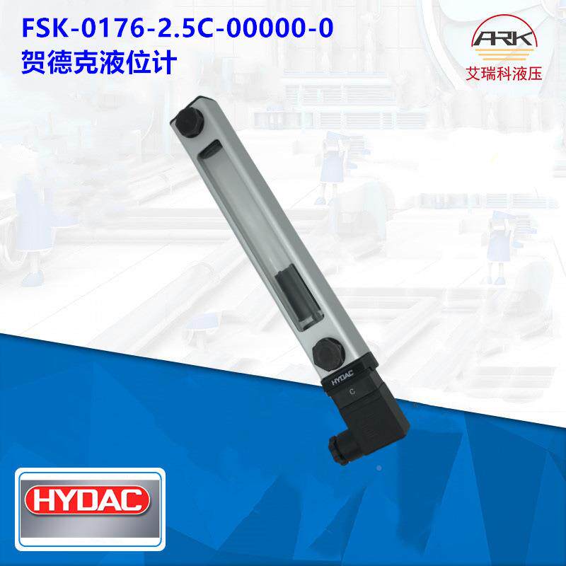 FSK-27-2HGI.5/0/12升级为FSK-0127-2.50-00000/0-/M1液位2计HY-D