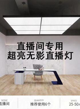 直播间13361专用补灯光LE拍D超亮吸顶理发店照亮摄影高网红吊灯