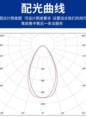 明F投G25CLWEDFG25C亚光灯50W~500高亮灯广场隧道工地户外挡水泛