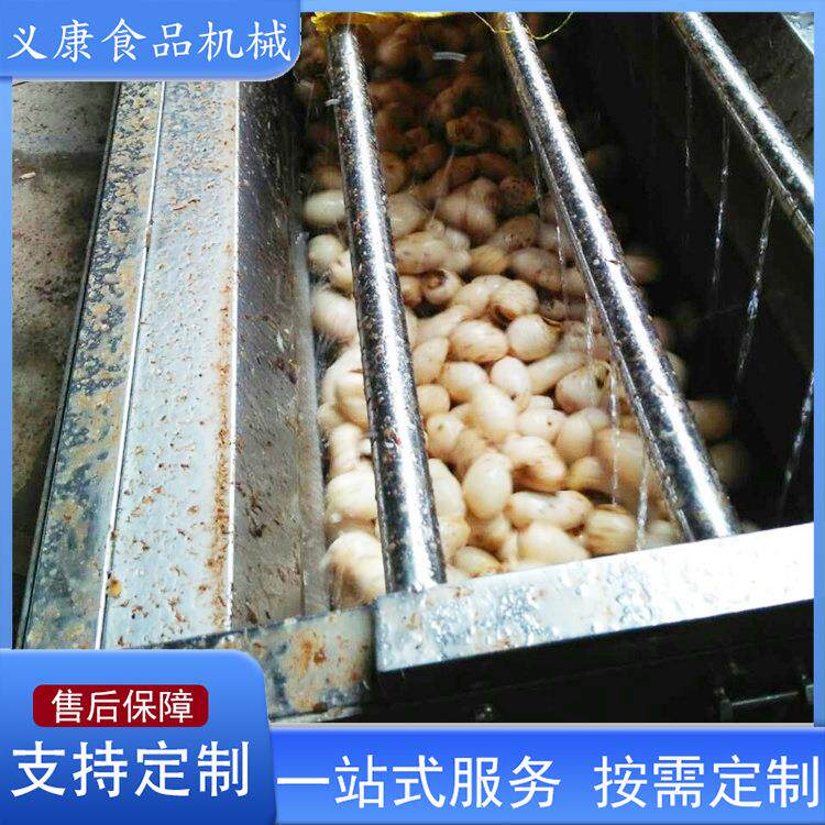 商用大型黄桃去毛清洗机 生姜去皮清洗机设备 果蔬清洗机设备