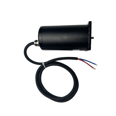 DC 直流电机 12V/24V/48V/220V  300W/800W