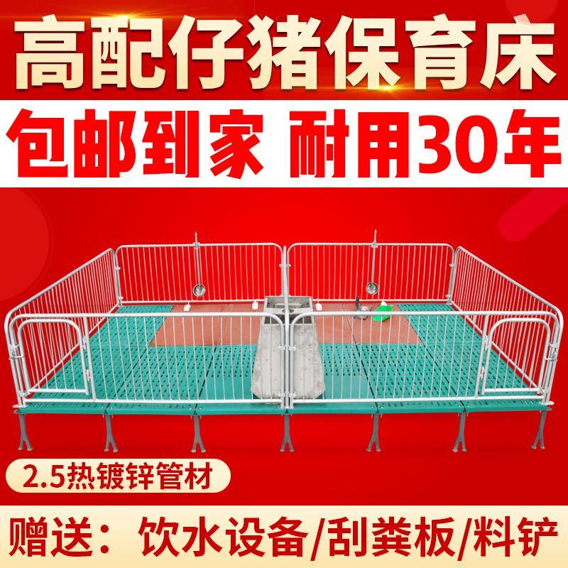 仔猪保育床热镀2.5小猪单双体保育栏母猪产床定限位栏养殖场设备