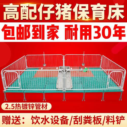 仔猪保育床热镀2.5小猪单双体保育栏母猪产床定限位栏养殖场设备