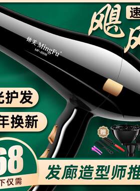 铭芙吹风机家用理髲店风力大功率发廊专用发型师吹风机静音不伤发