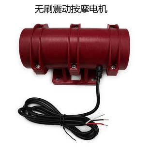 BL4260直流12V 24V无刷20W震动按摩床筛料马达瓷砖混凝土振平电机