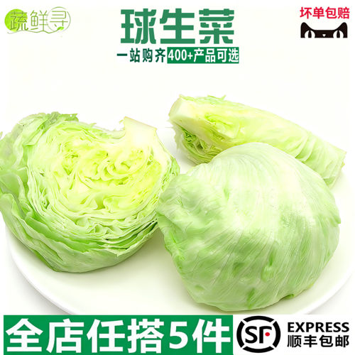 汉堡圆生菜西生菜新鲜沙拉蔬菜食材球生菜新鲜蔬菜汉堡菜专用球形