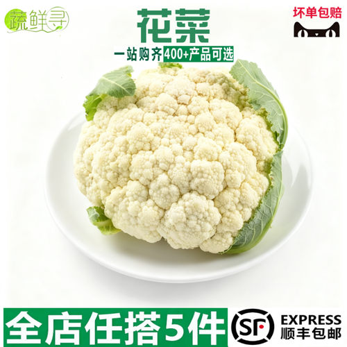 新鲜花椰菜蔬菜白色菜花带叶现摘农家自种新鲜蔬菜花菜