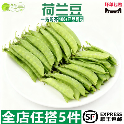 新鲜荷兰豆现摘甜豌豆荚云南农家自种当季时令蔬菜脆豆角