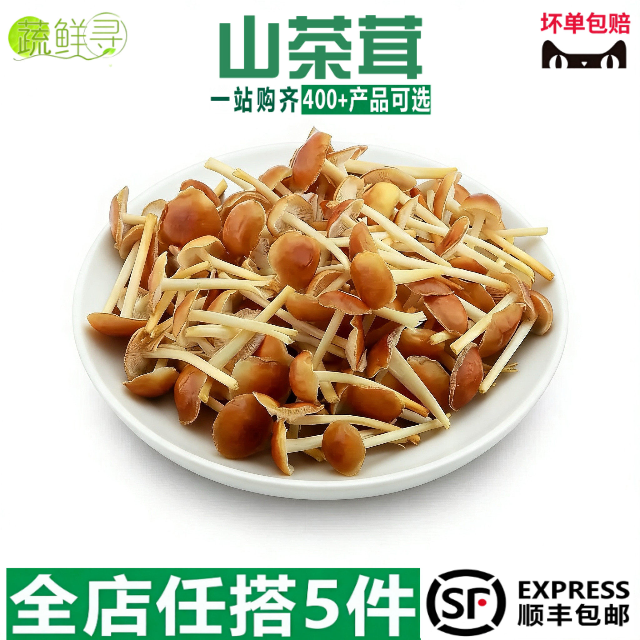 山茶茸新鲜菌菇净菜松子菌新品特色酒店火锅食材盒装1000g