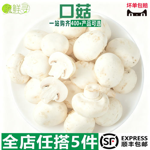 新鲜口蘑现摘双孢菇白蘑菇新鲜口蘑时令食用烧烤网红蔬菜新鲜蔬菜