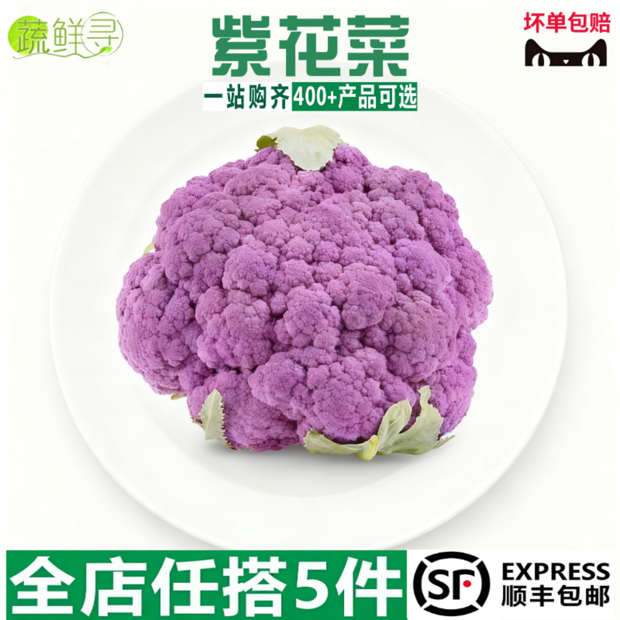 紫花菜云南紫色花椰菜酒店特色配菜新鲜蔬菜