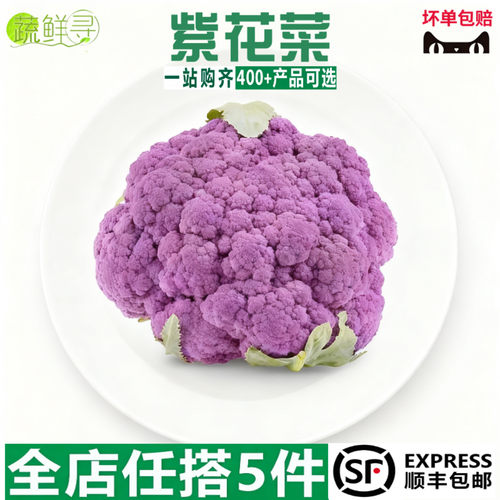 紫花菜云南紫色花椰菜酒店特色配菜新鲜蔬菜