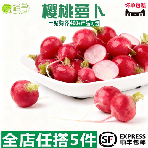 新鲜樱桃萝卜红丁当季水果小红萝卜红丁甜脆青潍坊胡萝卜蔬菜