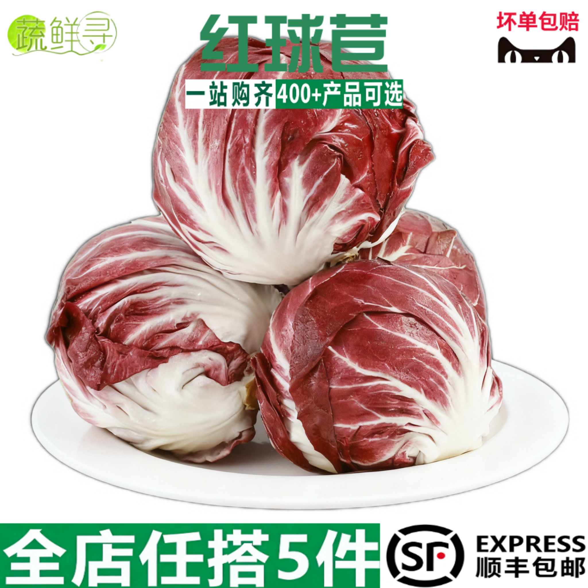 新鲜红菊苣落地红球生菜紫苣 西餐蔬菜沙拉食材健身轻食配菜