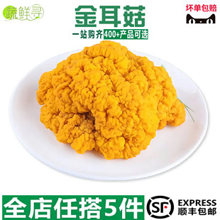 新鲜金耳菌黄金菌菇刺身糖水出胶黄耳菌生鲜火锅食材新鲜