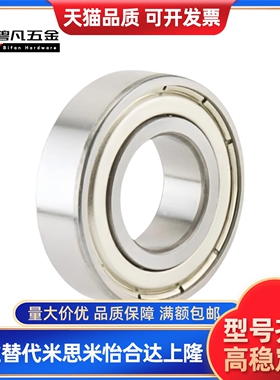 C-E6000/6001/6002/6003/6004/6005/6006ZZ经济型轴承中大径滚珠