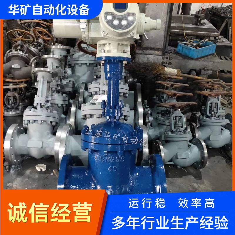 热电站电动闸阀 Z941H-25 DN300配套热网疏水泵用电动阀门 直通式