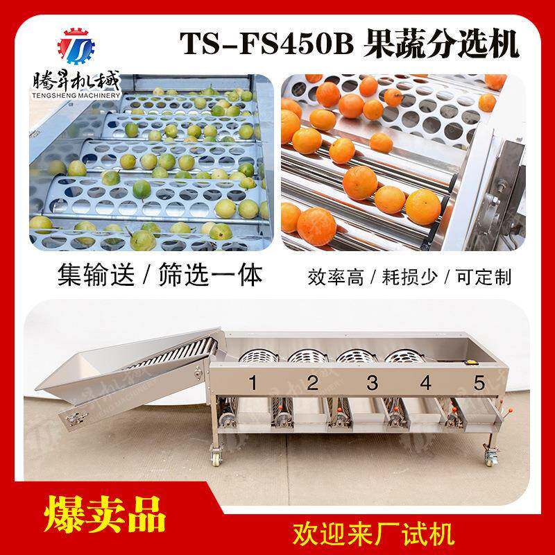 筛选大小分级机 滚杠输送 水果分选大小设备 自动水果筛选机