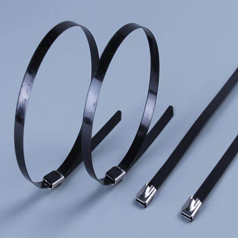 供应304不锈钢扎带 4.6*200喷塑不锈钢扎带 自锁式不锈钢扎带