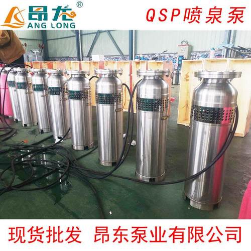 QS/QSP不锈钢水泵喷泉泵QS65-10-充水景观专用喷泉潜水泵大流量