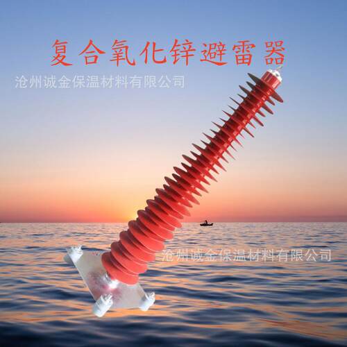 HY10WZ-100/260电站型避雷器YH10WZ-102/266氧化锌防雷器110KV