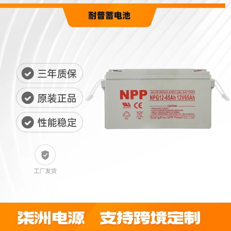 NPP耐普蓄电池NPG65-12 太阳能 12v65AH 直流屏 蓄电池