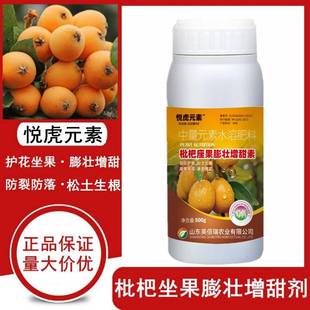 枇杷树专用肥料 枇杷膨大增甜剂 催花着色美果增产防冻防落叶面肥