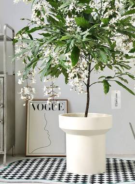 北欧简约水花盆泥哑光莉黑白色创意色NF076垂丝茉套盆千年木落地