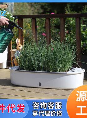 种林泽厂家D20D2066立储水种植箱多欧层菜盆阳体台庭院种菜盆