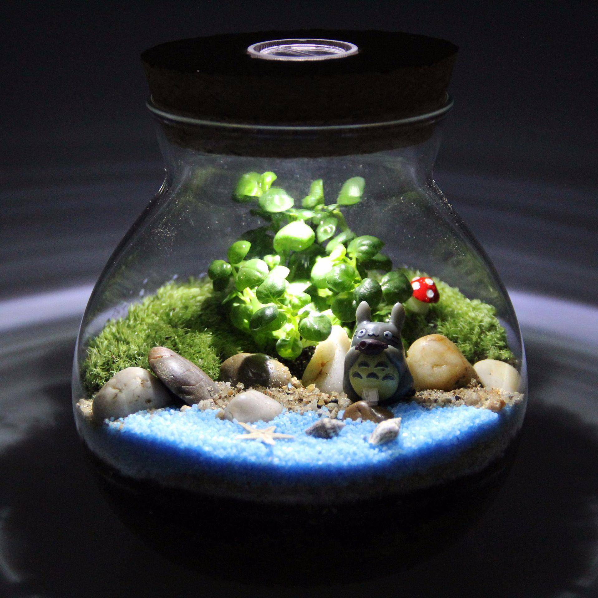 藓微景观创意盆栽礼品摆苔藓tz-20181瓶态瓶13苔.5木塞件带灯生套