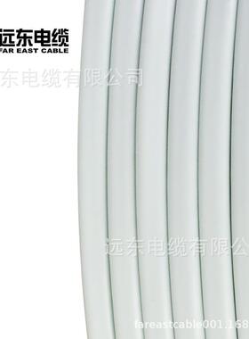 远东电线电缆BVB2*6平方国标装家进户2芯V护硬套铜芯86730电线100
