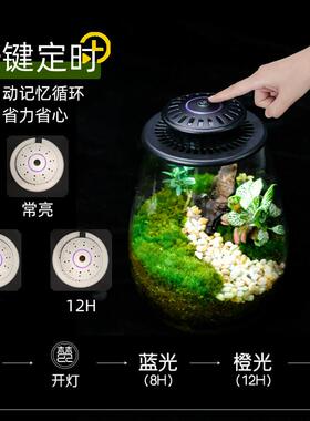 梵农物全光谱植物QEN灯景观微植生长灯荫生植物补光灯生瓶微态景