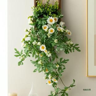 ins雏风植物墙面装 饰小菊藤F976T865挂件室内壁假花蔓电视背墙景