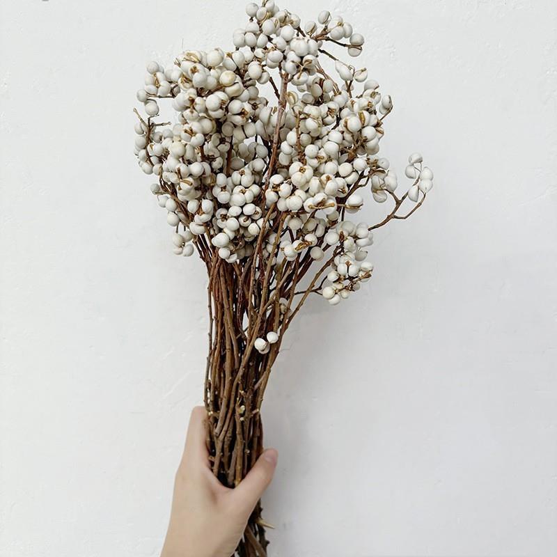 小小白果干花天然干树枝干设清新简约北欧插2022花摆diy花手工花