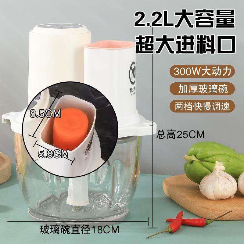 电动绞肉自机家蒜用辅食小型多功肉能搅拌机料理碎蓉2.2升多新款