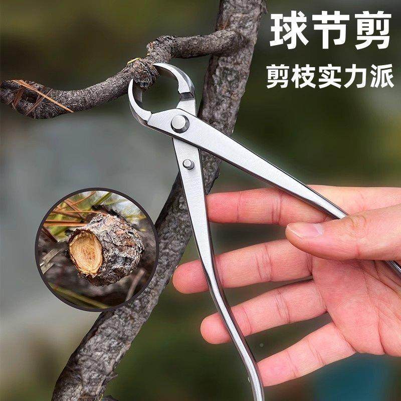 园林家用不盆锈钢OBD修球节剪斜口剪盆栽景专工具剪造用型工具钳,鲜花速递/花卉仿真/绿植园艺,铲子,淘宝优惠券,粉丝福利购,淘宝优惠卷