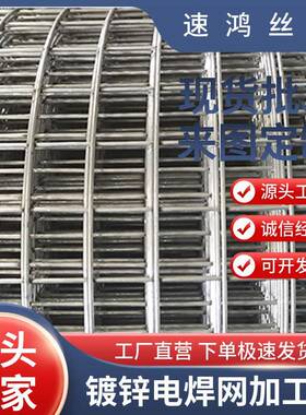 现货供应建筑内外抹丝墙抹墙铁灰网LUE热镀锌电焊网方孔小丝网