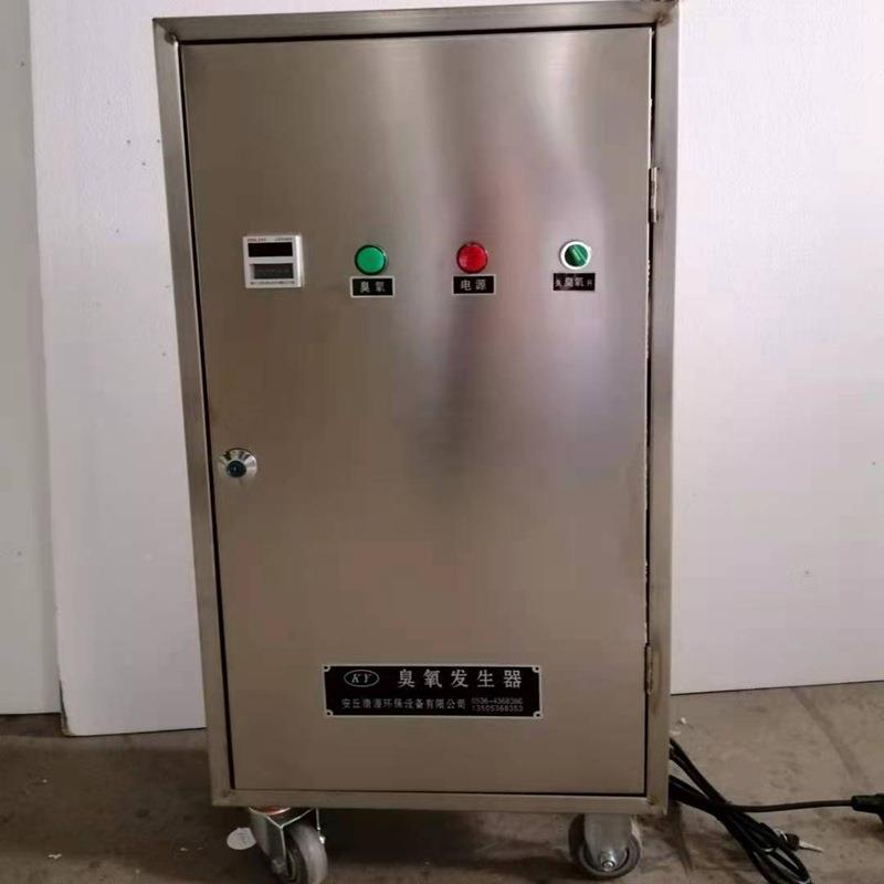 供氧应动移式臭臭氧机YRV厂家水处理消毒机空气净化臭氧发生器