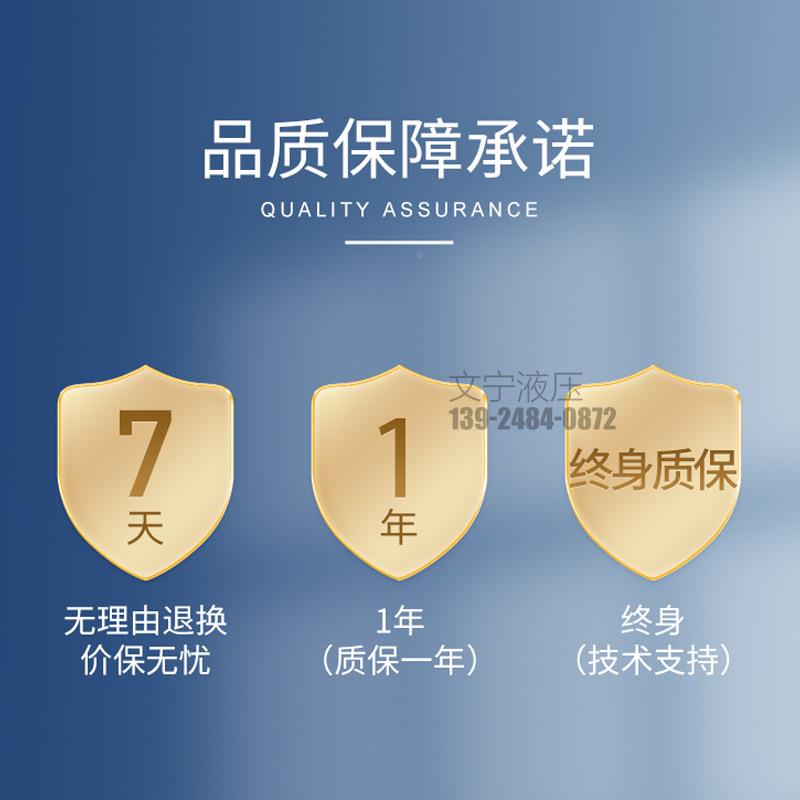 反液压GXU扭马达BM模具摆线油马达低速大矩正转船用R摆线液压马达