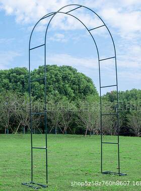 绿墨色葡萄架铁艺月季拱门花杆架藤架WE15攀爬植物花爬卉支架底座