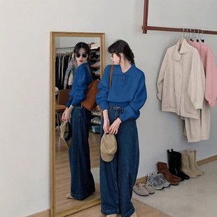 高级感蓝色翻领针织衫女秋冬洋气宽松短款内搭打底毛衣polo衫上衣