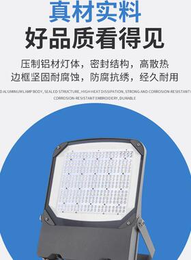 户外防投光水灯泛光灯高亮W100W150200W率大功球场照明泛光灯厂家