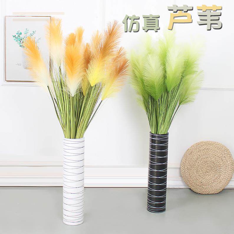 室内绿植芦苇草饰花狗尾巴夏草干花花束厅摆设橱窗装2025跨境摆件