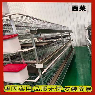 养殖场蛋鸡笼三四门阶梯蛋鸡JCL笼层阶梯式式笼养鸡设备