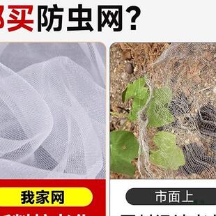 100目防防虫网网大纱棚专用防虫网网种菜专用果树防蚊罩蚊F99557S