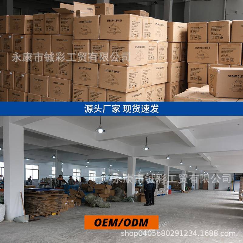 容2L大0量高压高温蒸汽清洁机汽车贴膜蒸内饰汽576厨房清洗机220V